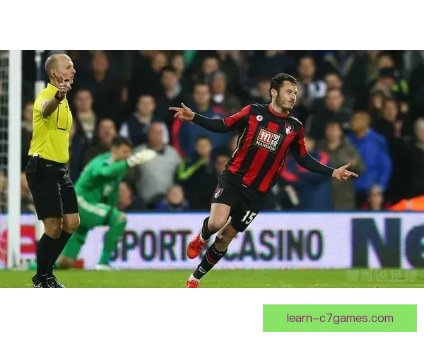 伯恩茅斯俱乐部百年征程与英超逐梦传奇全景纪实与南海岸荣耀风云 伯恩茅斯俱乐部百年征程与英超逐梦传奇全景纪实与南海岸荣耀风云